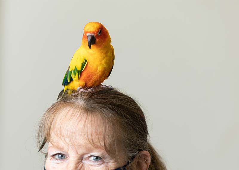Carousel Slide 8: Bird Veterinary Care, Littleton MA