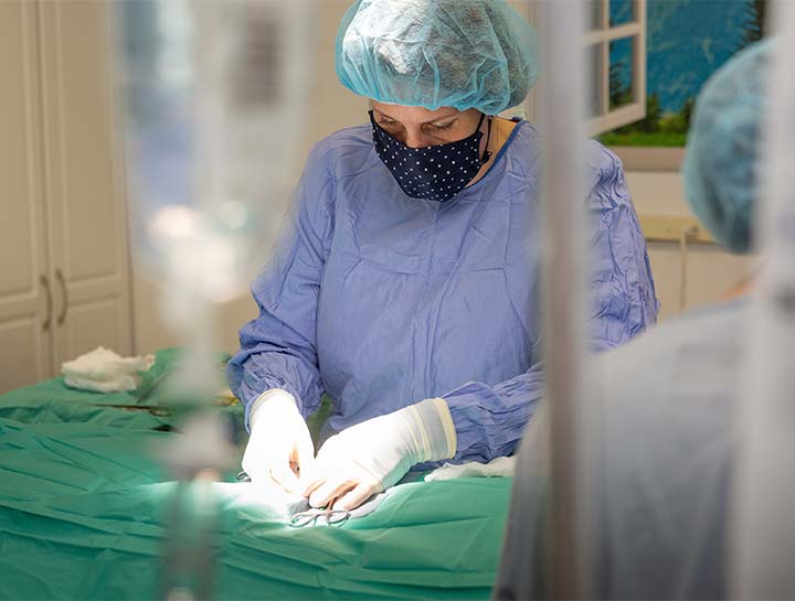 $City Veterinary Surgeries